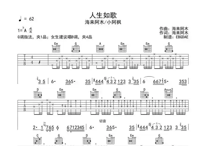 海来阿木小阿枫人生如歌吉他谱g调吉他弹唱谱