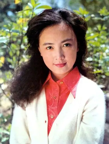 1973年入河南曲艺团任演员,1976年进入影视圈,主演了《新风歌》