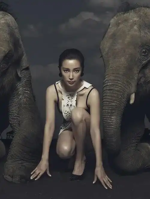 内娱新晋"发面馒头",肿胀僵硬没眼看,让动脸前辈们自愧不如