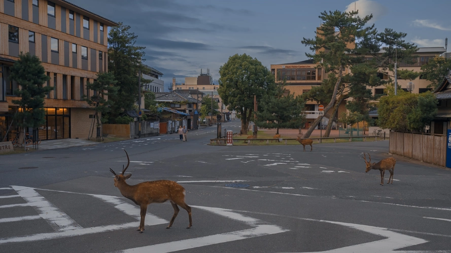 日本街头的唯美日暮,高清图片,电脑桌面-壁纸族
