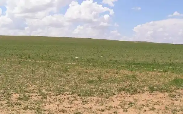 一首脍炙人口描写大草原的诗歌,勾起了多少人对内蒙古大草原的向往.