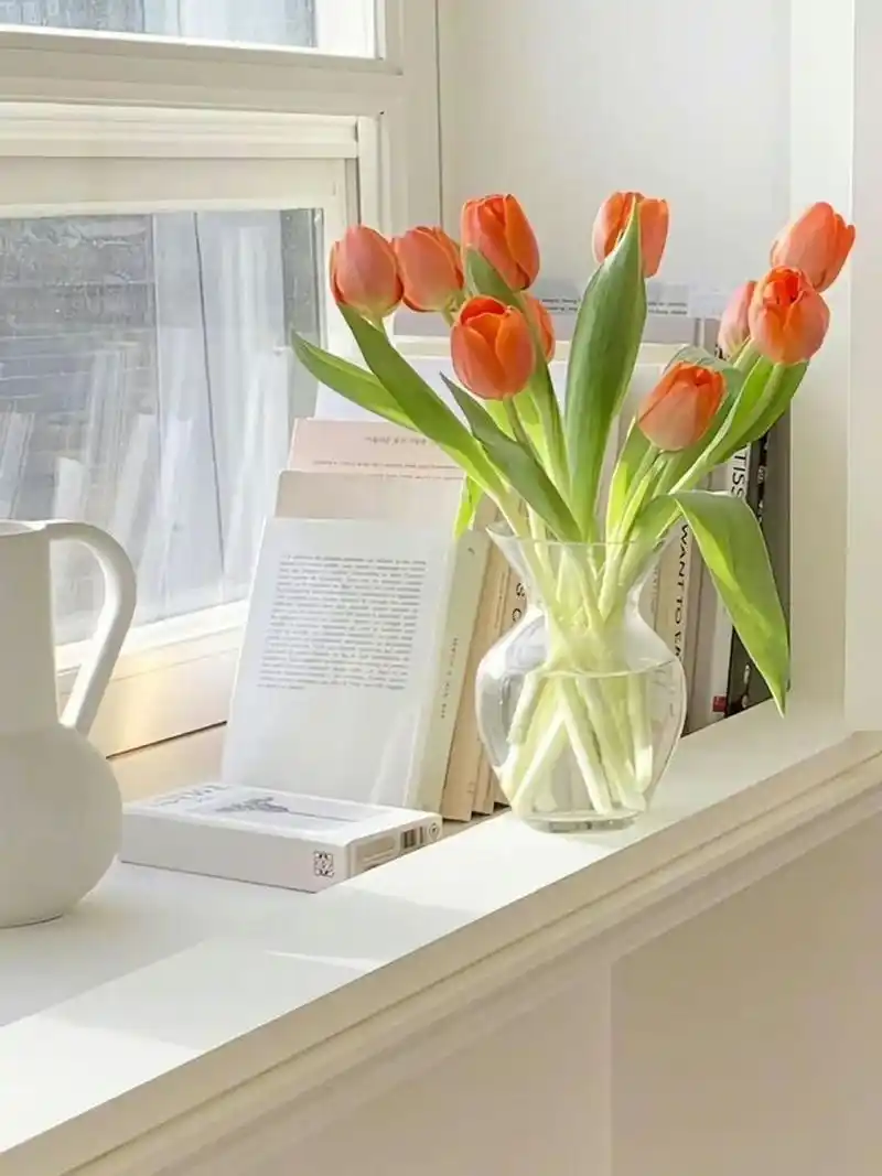 治愈系ins风 郁金香手机壁纸 郁金香壁纸 | 别害怕 宇宙都温柔 浪漫至