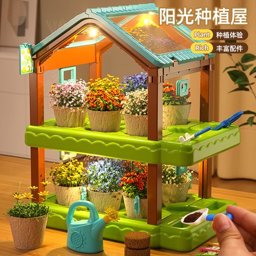 儿童种植迷你小盆栽温室阳台种蔬菜观察生长幼儿园小学生种花植物