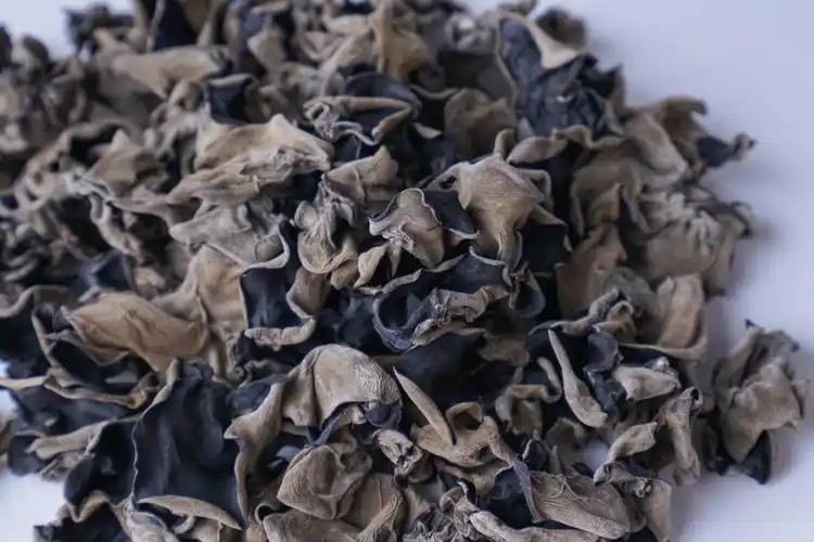 林麓×金果园 携手回归——木耳篇