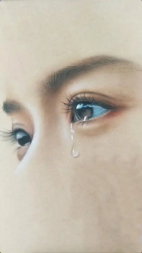 诗坛撷英王茹老师作品欣赏