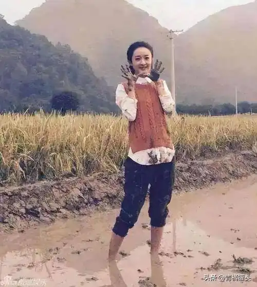 有图有真相,让人笑翻过去|贾玲|靳东|岳云鹏|王宝强|贾乃亮|郭晓冬