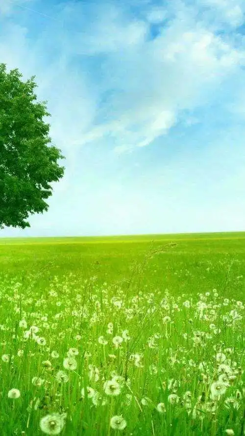 4,手机想要弄个护眼的壁纸并不是说绿色就是护眼的,要选那些颜色不