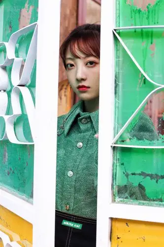 大侠卢小鱼之夕阳红战队热播范薇变身行走的表情包