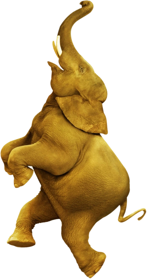 大象可爱图片大全