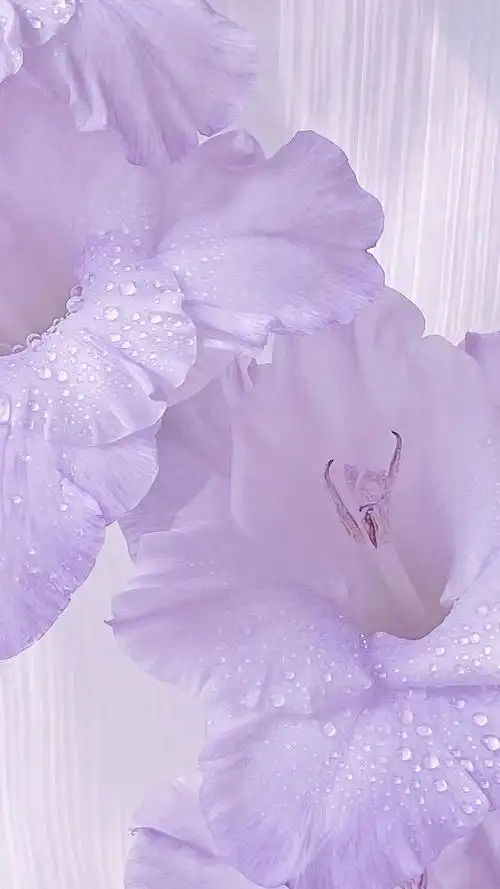 紫色系唯美背景图