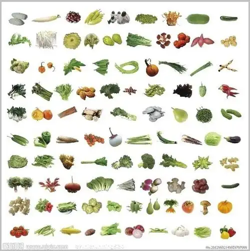 百种蔬菜图层带有蔬菜名称