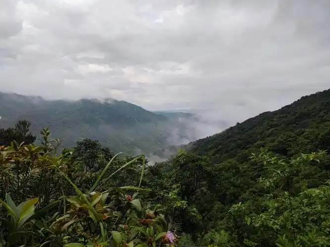 粤东沿海第一高峰海丰莲花山游记