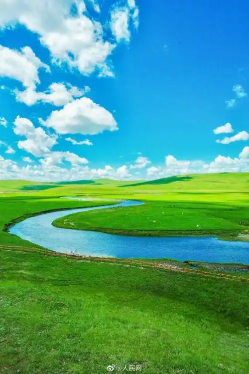 满眼青翠,景色如画,这份夏日草原壁纸请收下