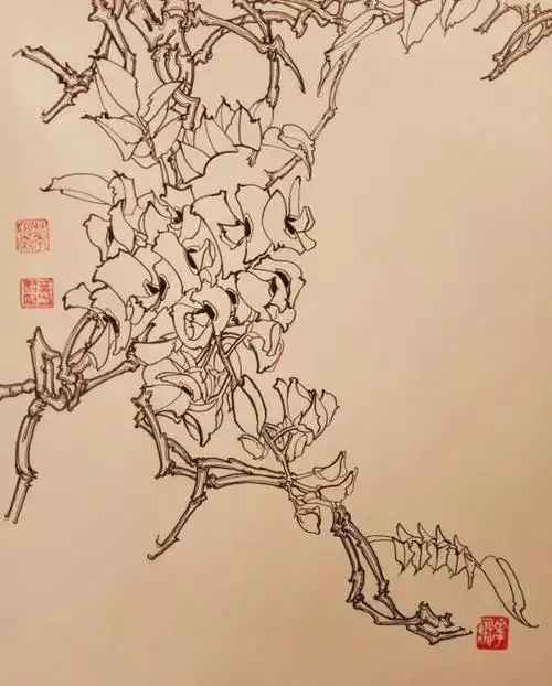 第八百零二幅——紫藤花(中性笔白描花卉临习-局部)13,叶志军的钢笔画