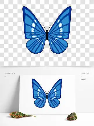 一只蓝色蝴蝶插画