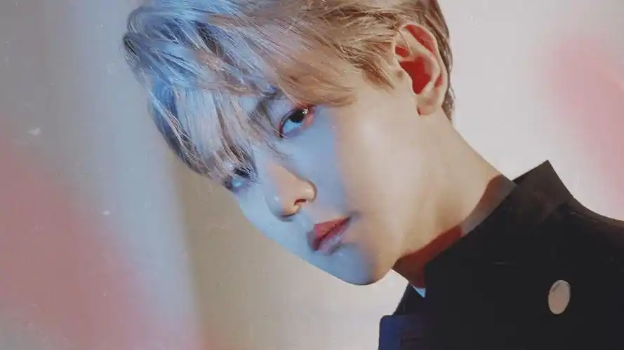 边伯贤橙光素材多放辣椒香菜