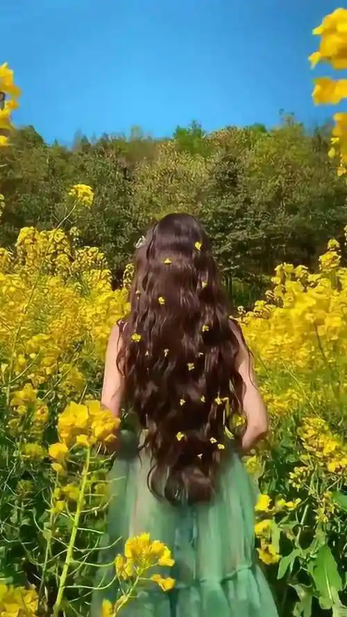 带着老婆去看油菜花,看到她的背影,我又有了当初的感觉