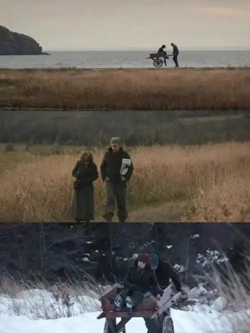 新斯科舍省的民间艺术家莫娣·刘易斯(maud lewis)的真人真事改编