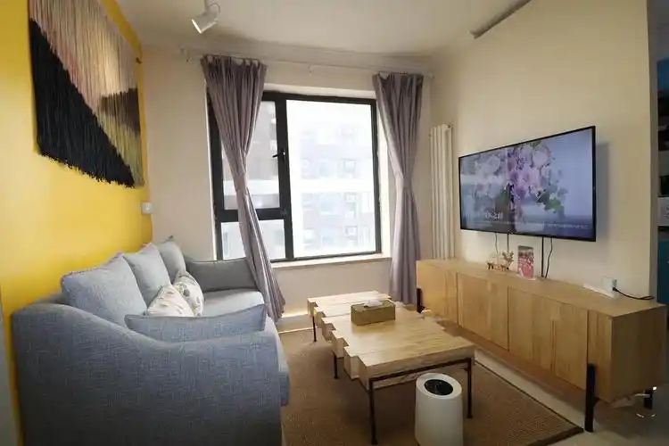 望京soho 东亚望京一居室 两套 随时看房入住 阜通.