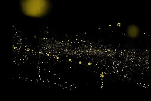 萤火虫简约黄色光效素材
