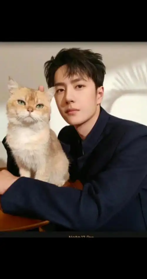 比帅图更有杀伤力的是女友视角和自拍照#王一博 #热烈 #电影 - 抖音