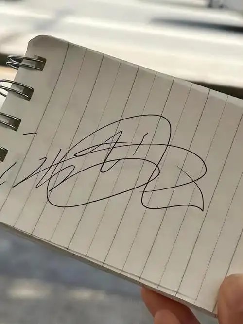 这可是大明星的签名啊,只有两个人的名字还能勉强辨认,其他的都不认识