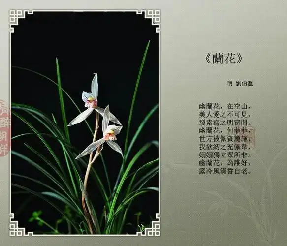 看着不错,和大家一起分享!