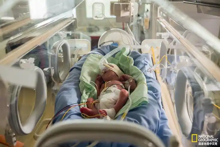 研究人员之前认为,保温箱可以为早产儿提供成长所需的环境条件.
