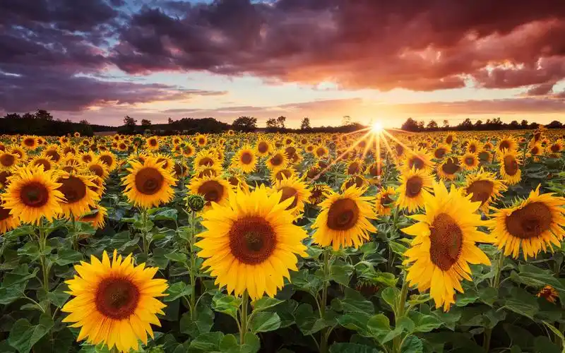 清新秀丽自然山水风光高清桌面壁纸_风景壁纸_壁纸下载_美桌网