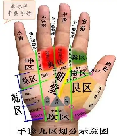 【李林泽】中医手诊,面诊,疤痕修复面授班开课了!