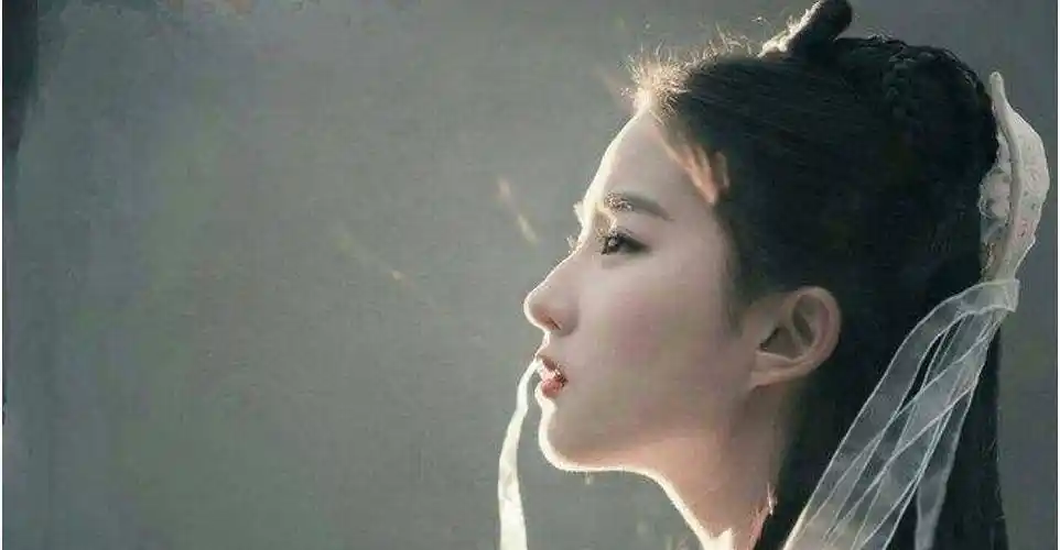 流量_刘亦菲_口碑