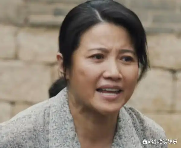 山河锦绣:又见颜丙燕,外形朴实,表演真实,但有一个明显的槽点