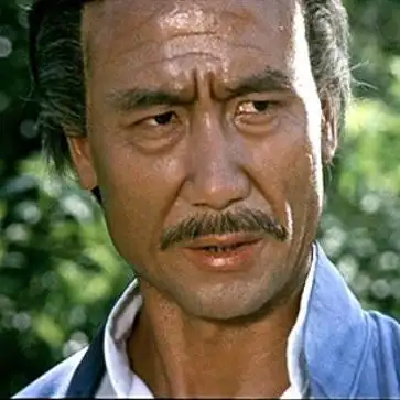 真功夫!五大李小龙替身曾一脚踢死人