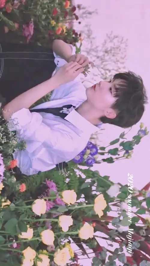 花丛马嘉祺·截修&壁纸 cr:wb