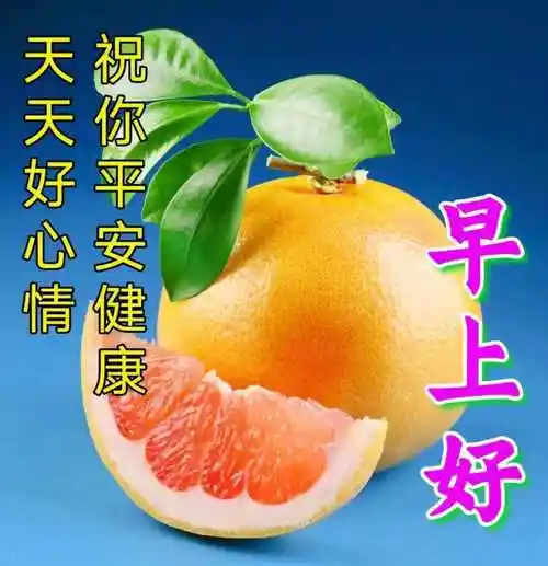 最新版的早上好短语句子,早上好祝福语图片大全