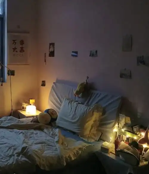 hhhh是工作单位的房间啦房间不大但还是希望夜晚在一个温馨的环境度过