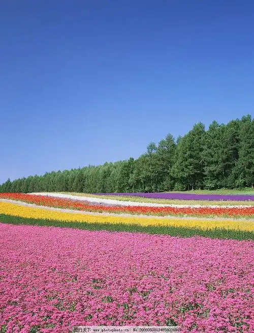 人生比较有哲理的几句话