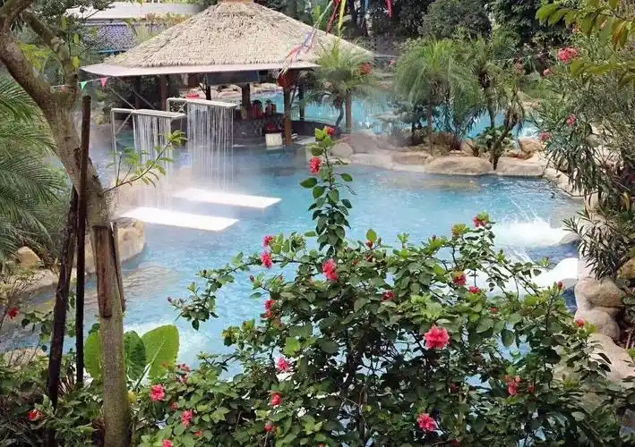 ***的富硒温泉89度天然自涌抗癌养颜, 首 付   万