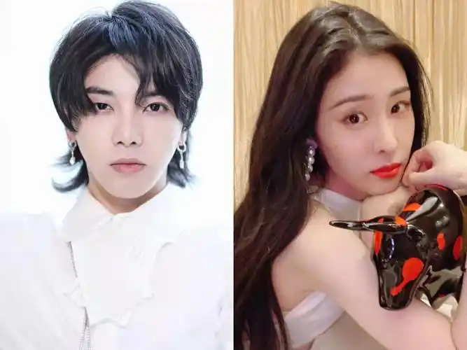 疑似华晨宇前女友发声!曝其整容未公开照片,透露曾遭张碧晨施压