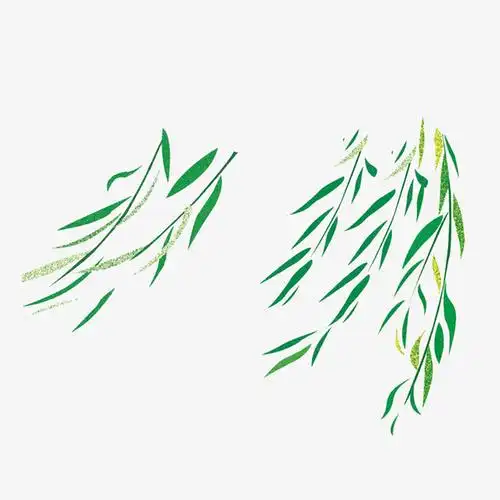 翠绿的柳条png格式免抠素材免费下载_觅元素51yuansu.com