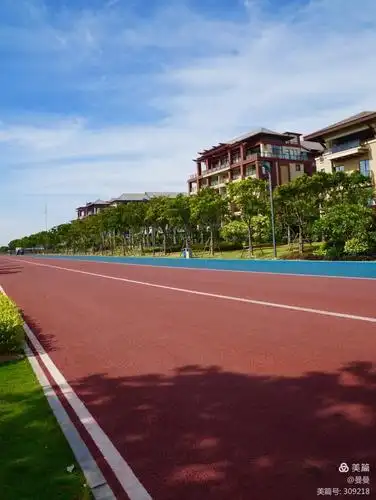 红蓝搭配的马拉松跑道,慢行道.