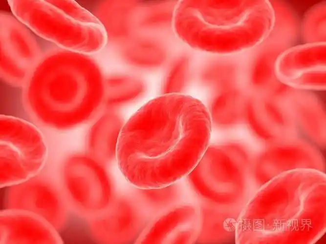 红血细胞3d图