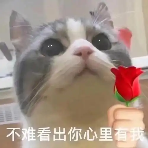 扰乱下哥的心弦_鸭头_霍格沃茨魔法学院济南分院攻略_表情包_撩妹_想