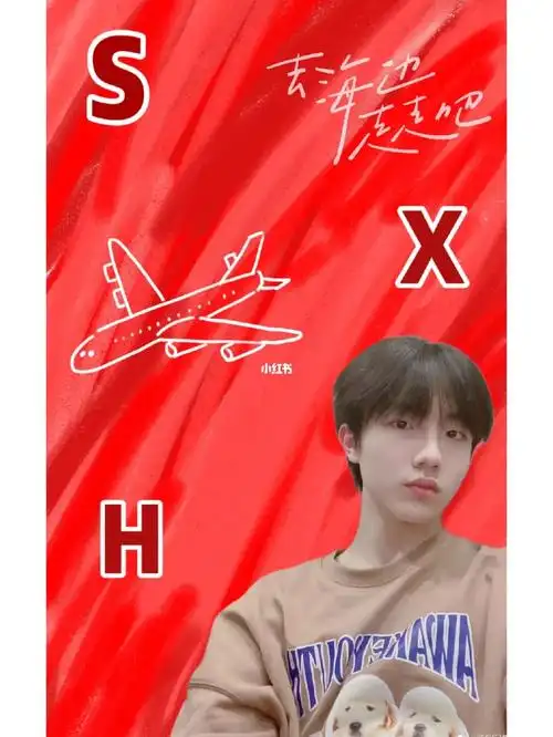 苏新皓应援色壁纸