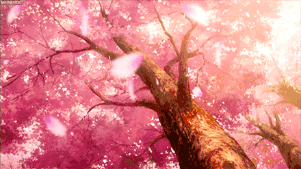 440_247gif 动态图 动图