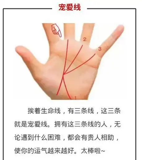 拿起你的手来看看