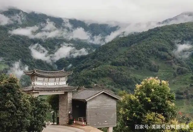 爷爷的拉祜印象|把临沧名山头"冰岛老寨"讲透