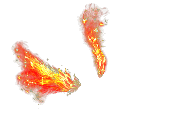 dnf双刀血之狂暴改凤凰炎翼下载__飞翔下载