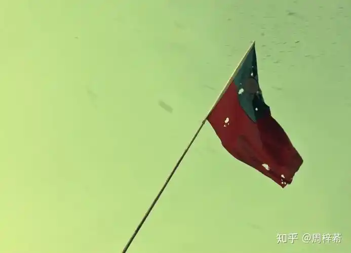 八佰电影后面升旗升的什么旗