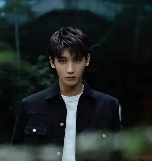 邢昭林恋情引热议千万粉丝被质疑是买来的